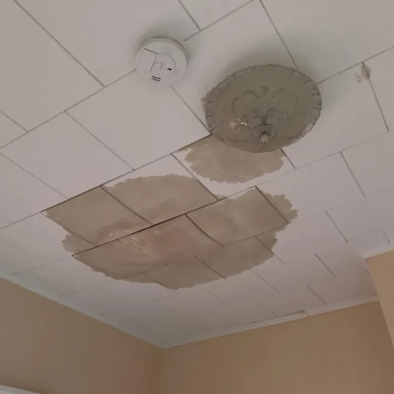 Ceiling Water Damage Repair in Edmunds County, SD