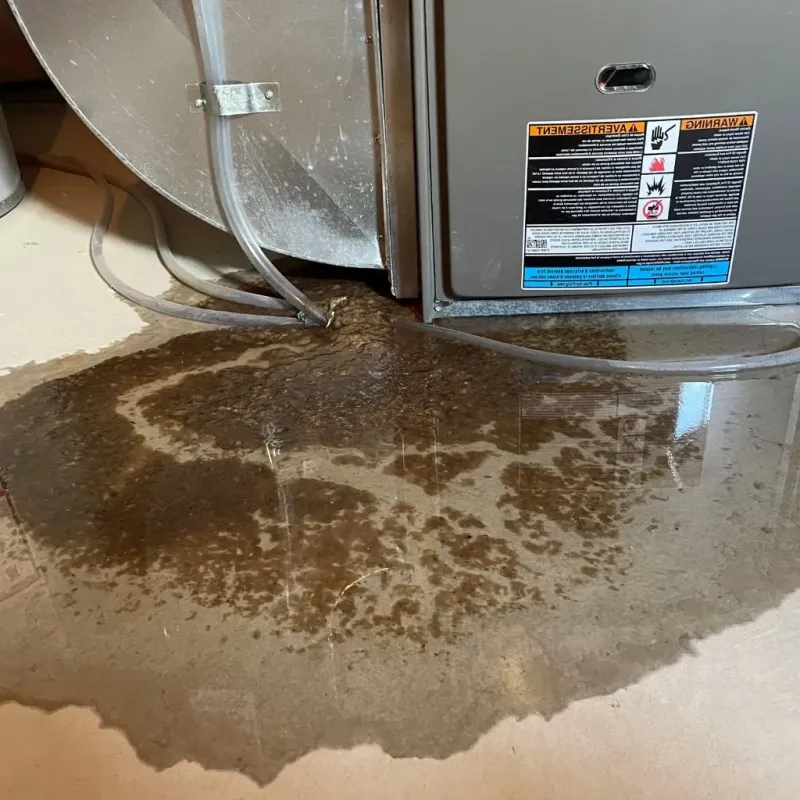 Pipe Burst and Leak Restoration in Edmunds County, SD