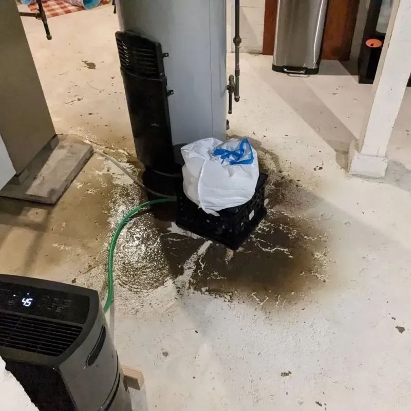 Sewage Backup Cleanup Service in Edmunds County, SD